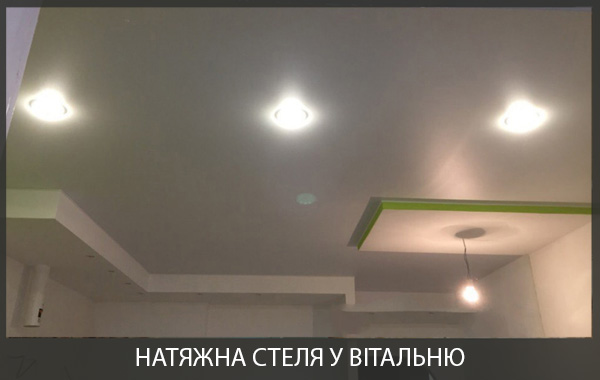 Натяжна стеля у вітальні Натяжна стеля у вітальні фото
