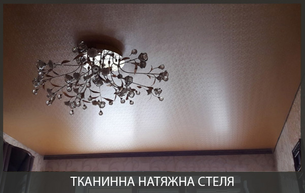 Тканинна натяжна стеля для зала фото