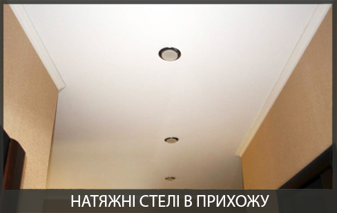 Натяжні стелі в прихожій фото